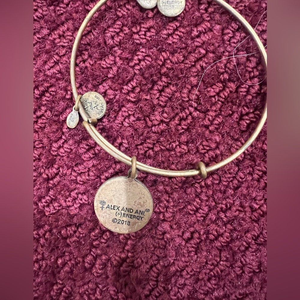 Alex And Ani M Initial Expandable Bangle Dangle C… - image 4